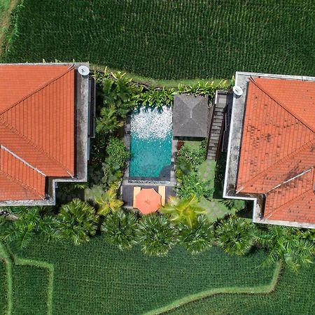 Cenik Villa Ubud Экстерьер фото