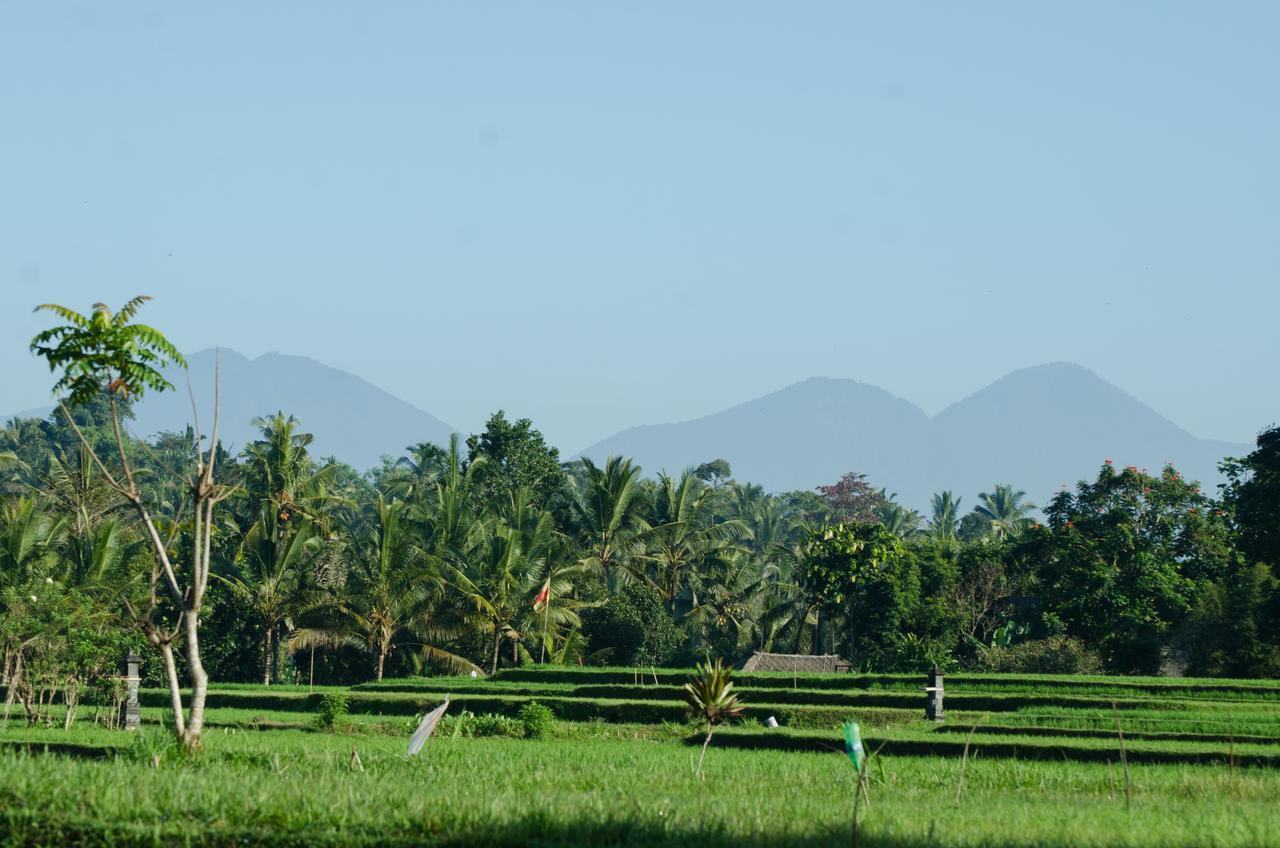 Cenik Villa Ubud Экстерьер фото