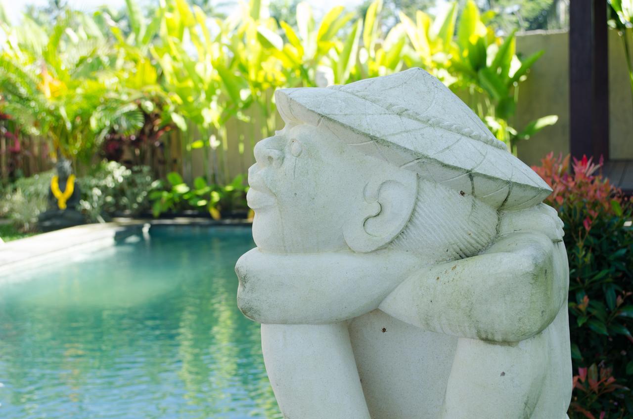 Cenik Villa Ubud Экстерьер фото