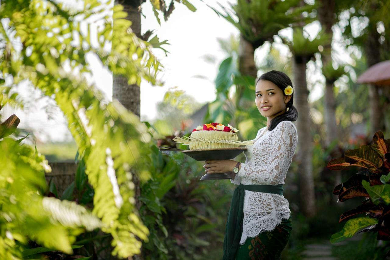 Cenik Villa Ubud Экстерьер фото