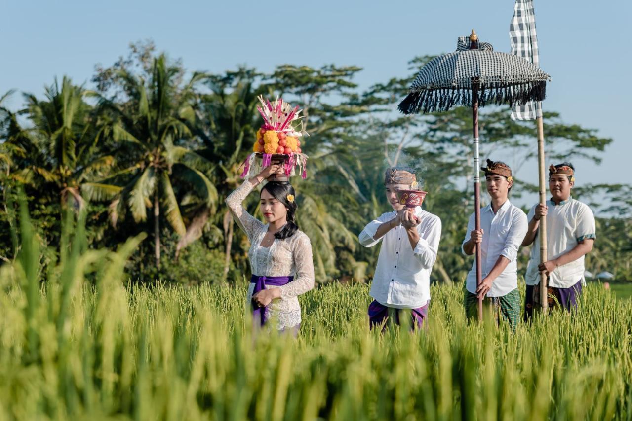Cenik Villa Ubud Экстерьер фото