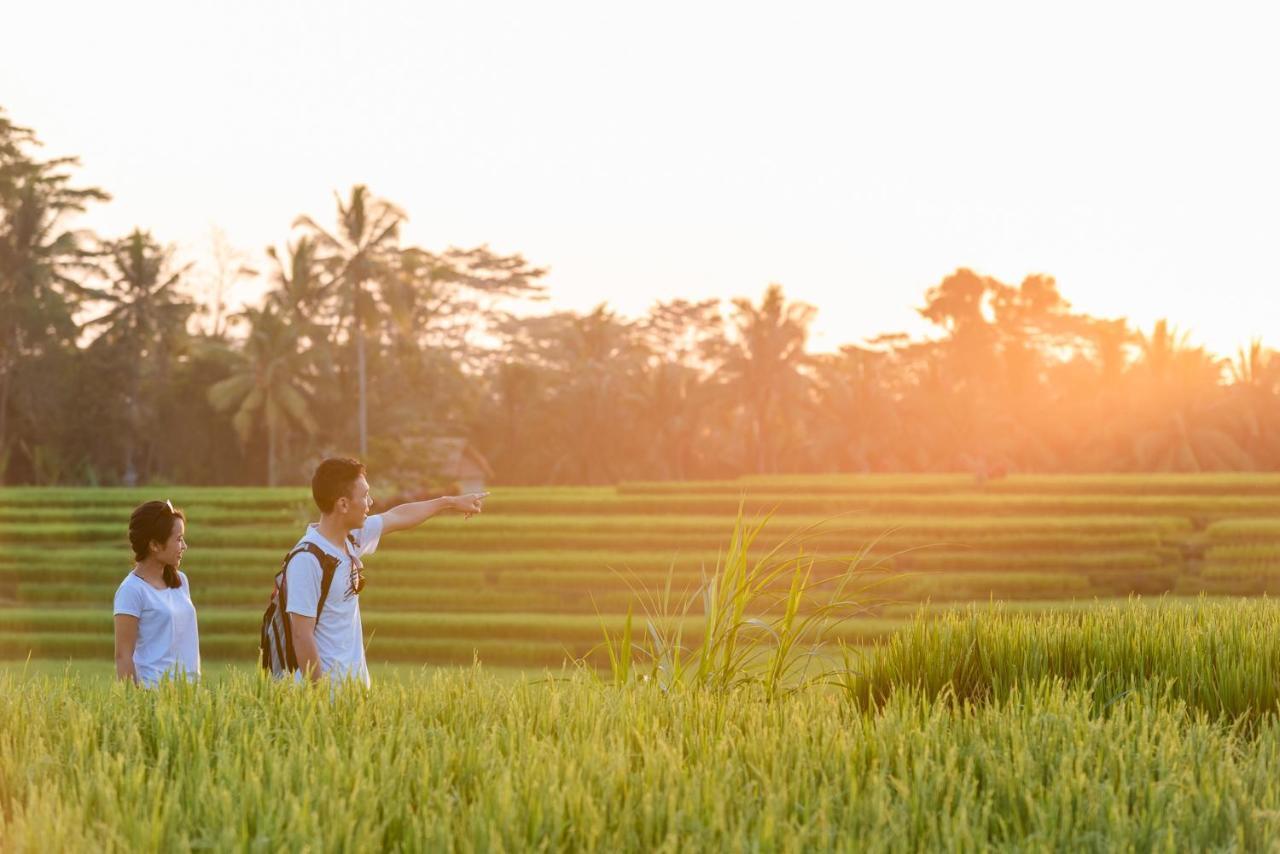 Cenik Villa Ubud Экстерьер фото