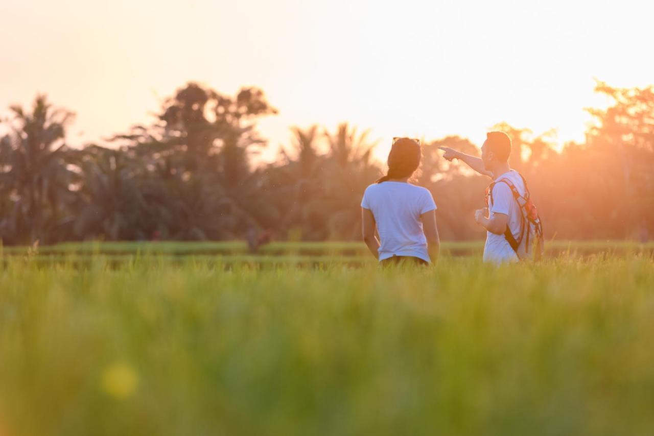 Cenik Villa Ubud Экстерьер фото